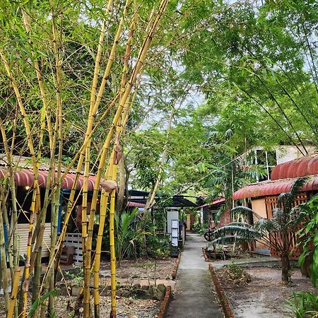 Blissfull Sweet Inn Pantai Cenang  Exterior photo