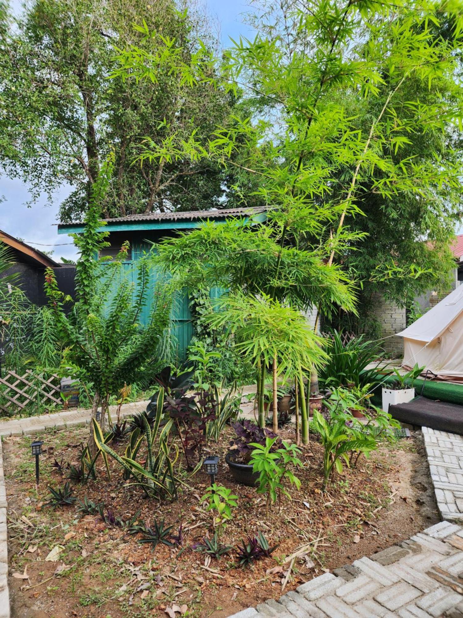 Blissfull Sweet Inn Pantai Cenang  Exterior photo