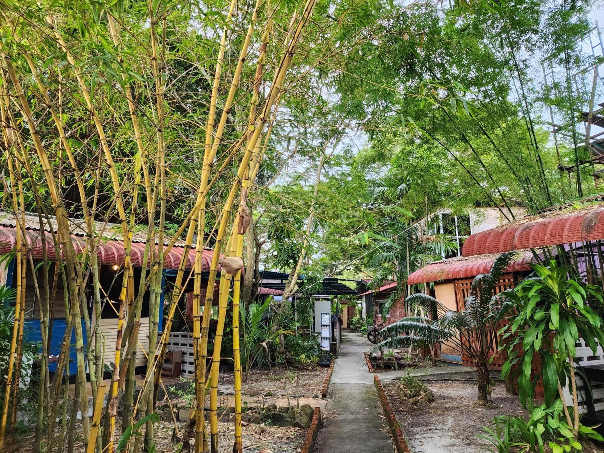 Blissfull Sweet Inn Pantai Cenang  Exterior photo